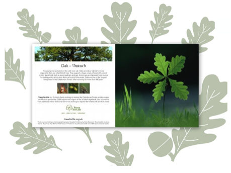 Trees for Life gift card